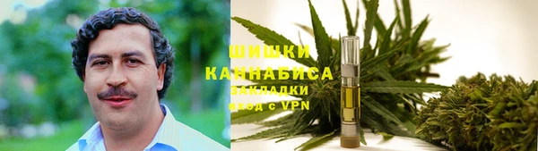 сатива Белоозёрский