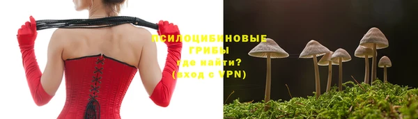 сатива Белоозёрский