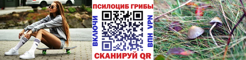 Галлюциногенные грибы MAGIC MUSHROOMS  Кологрив 